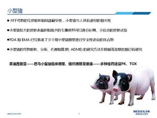 皮膚涂抹試驗(yàn)中，受試動(dòng)物選擇小型豬更好
