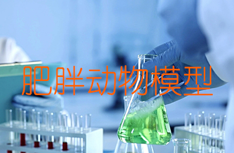 http://www.szhuangchao.com/yao-li-xue/nei-fen-mi-dai-xie.shtml