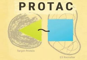 熱點(diǎn)前沿:PROTAC初露鋒芒，SD-36對(duì)抗腫瘤效果卓越