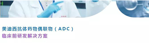 美迪西抗體藥物偶聯(lián)物（ADC）臨床前研發(fā)解決方案.png