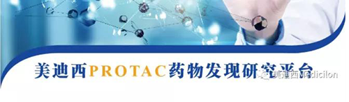 美迪西PROTAC藥物發(fā)現(xiàn)平臺(tái).png
