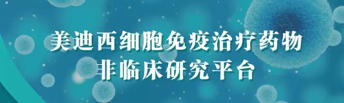 美迪西細(xì)胞免疫治療藥物非臨床研究平臺(tái).png