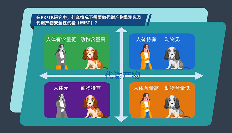 在PK-TK研究中，什么情況下需要做代謝產(chǎn)物監(jiān)測(cè)以及代謝產(chǎn)物安全性試驗(yàn)（MIST）
