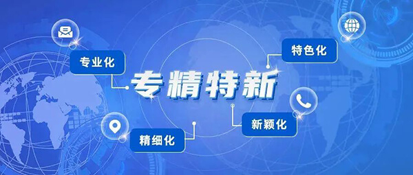 美迪西普亞榮獲2021年度上海市“專精特新”企業(yè)認(rèn)定.jpg