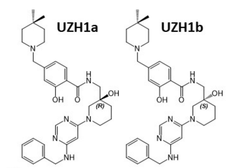 研究人員報告了一種具有細胞滲透性的選擇性METTL3納摩爾抑制劑UZH1a，作者感謝美迪西合成了UZH1a和UZH1b