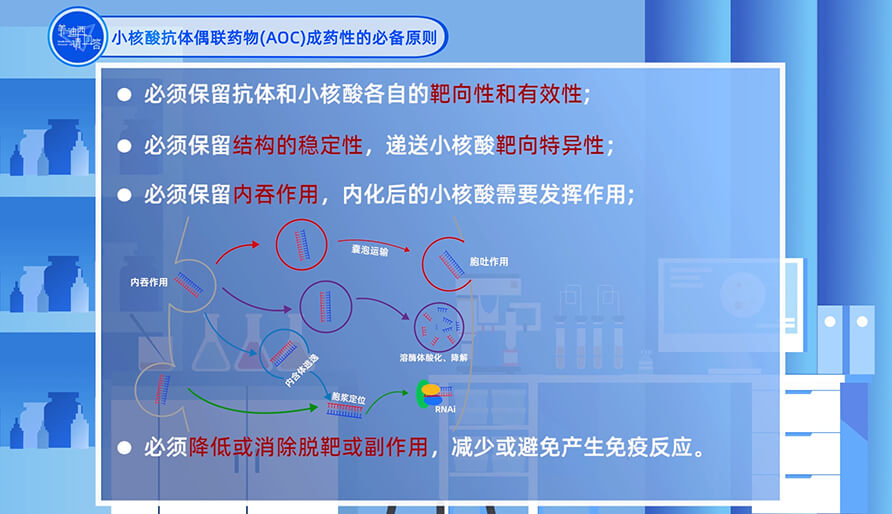 小核酸抗體偶聯(lián)藥物（AOC）成藥性的必備原則？