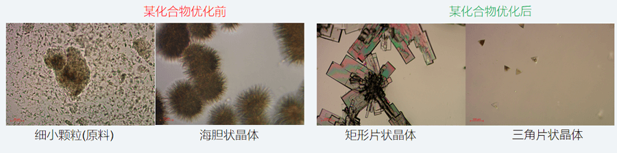 05案例分享-單晶培養(yǎng)，改變晶習.png
