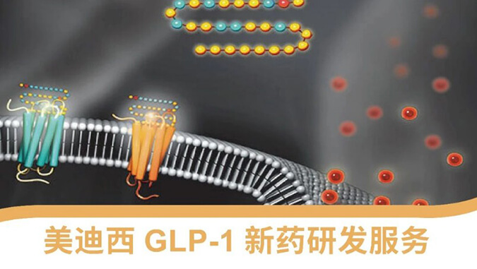 “GLP-1”新藥研發(fā)服務(wù)平臺 “GLP-1”新藥研發(fā)服務(wù)平臺