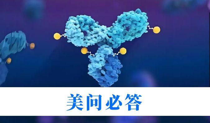 ADC藥物研發(fā)中毒代動力學(xué)關(guān)鍵問題解析